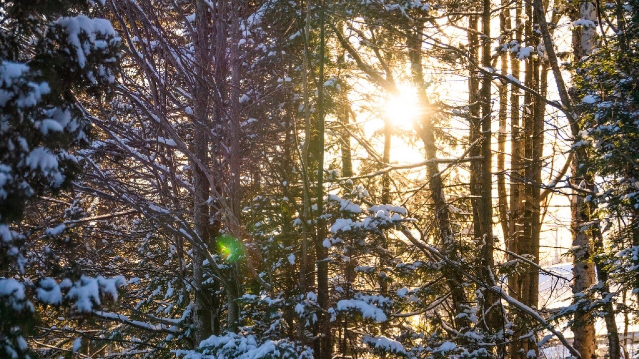 Photo of Outdoor in West Dover