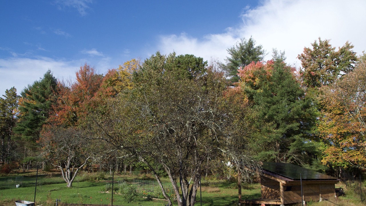 Photo of Outdoor in Sparrow Bush