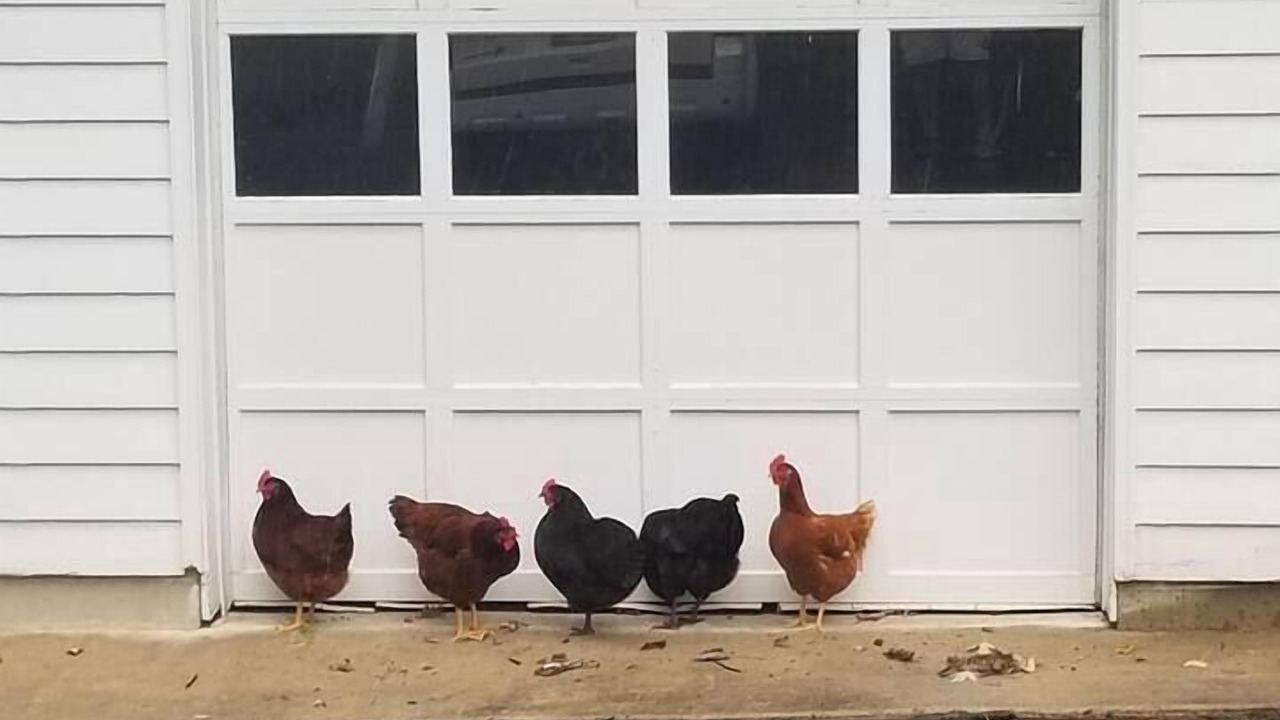 Photo of Others in Darnestown