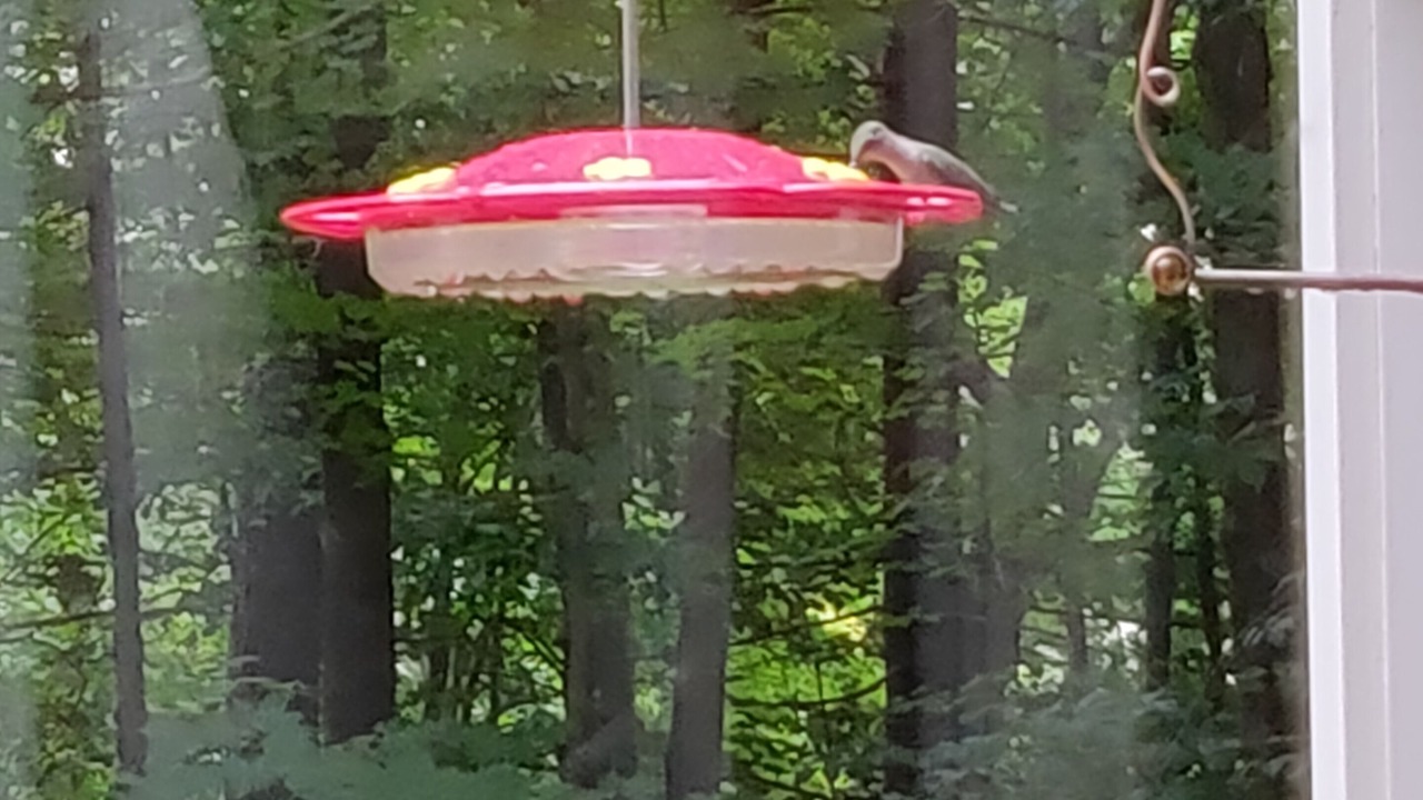 Photo of Outdoor in Stratton and Bromley Ski Areas