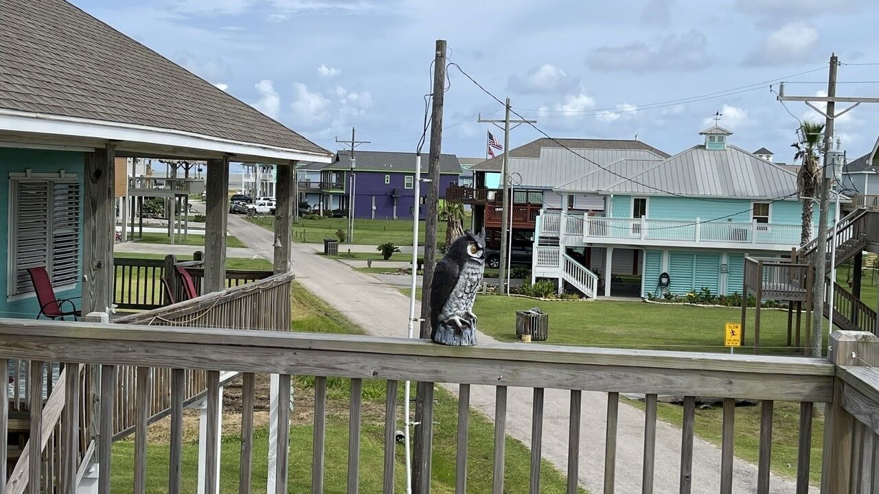 Photo of Outdoor in Port Bolivar
