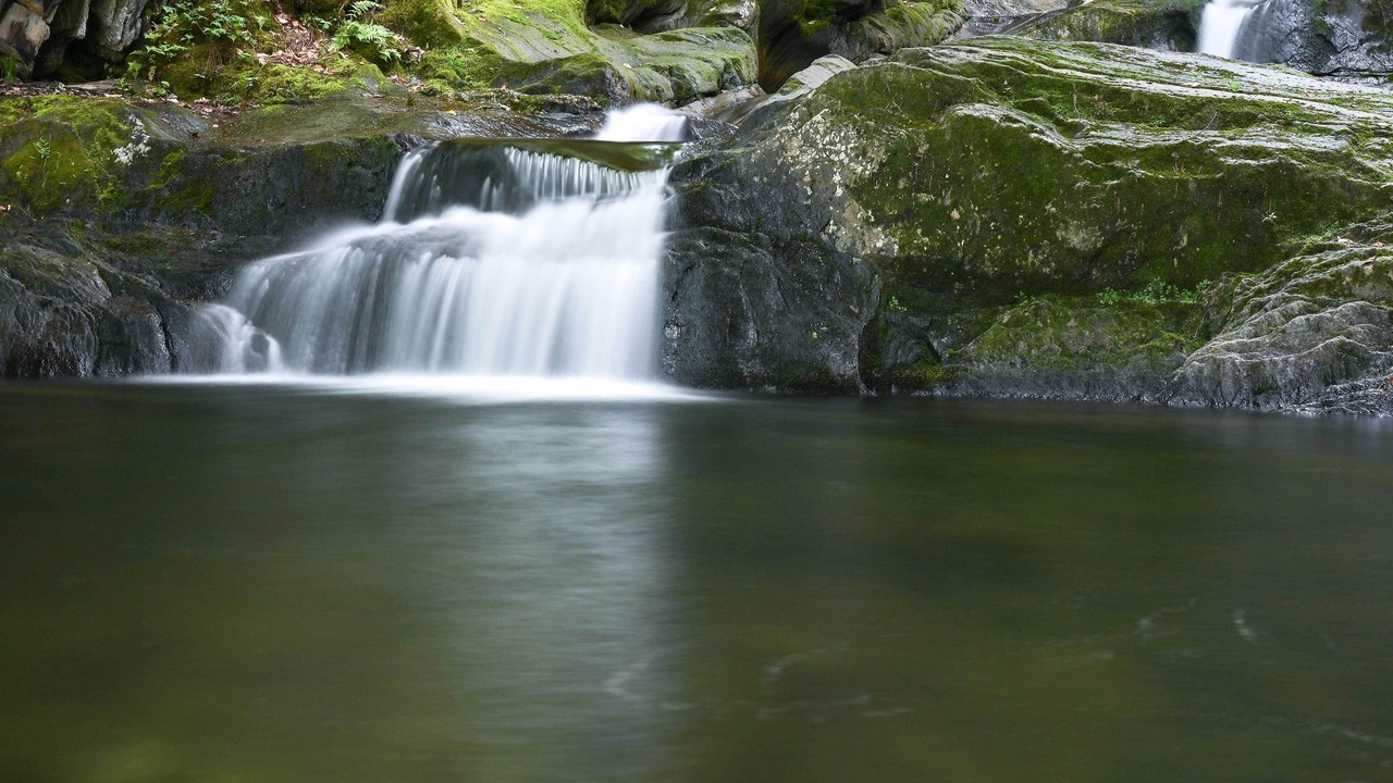 Photo of Outdoor in Jay