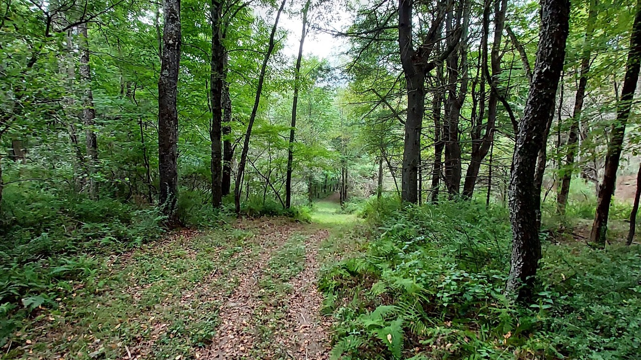 Photo of Outdoor in Cooperstown