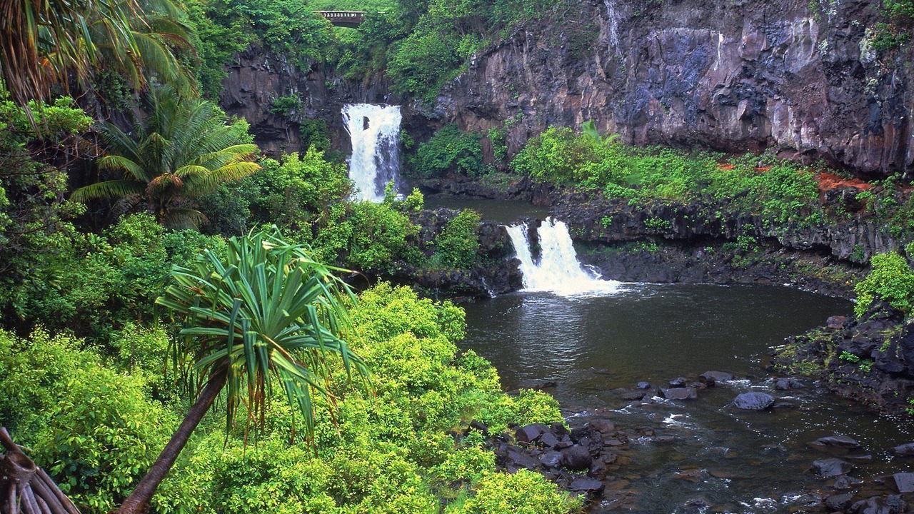 Photo of Outdoor in Kaanapali