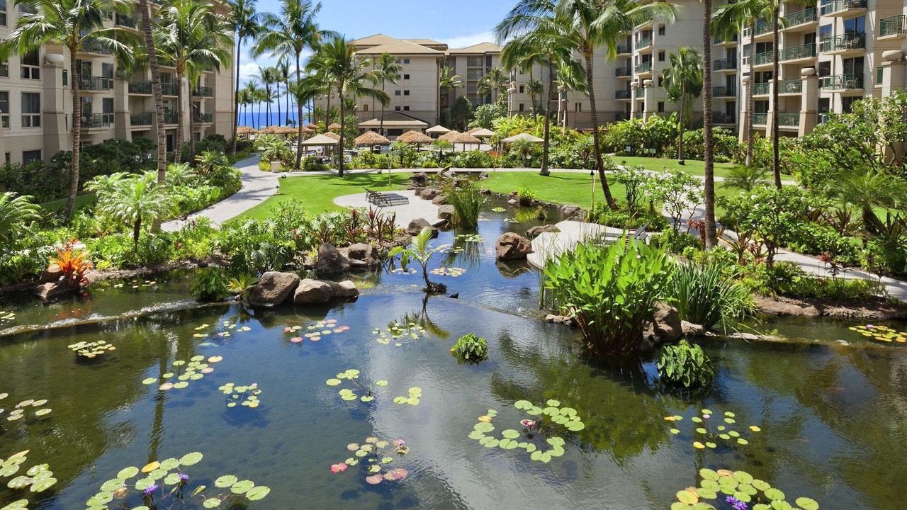 Photo of Outdoor in Kaanapali