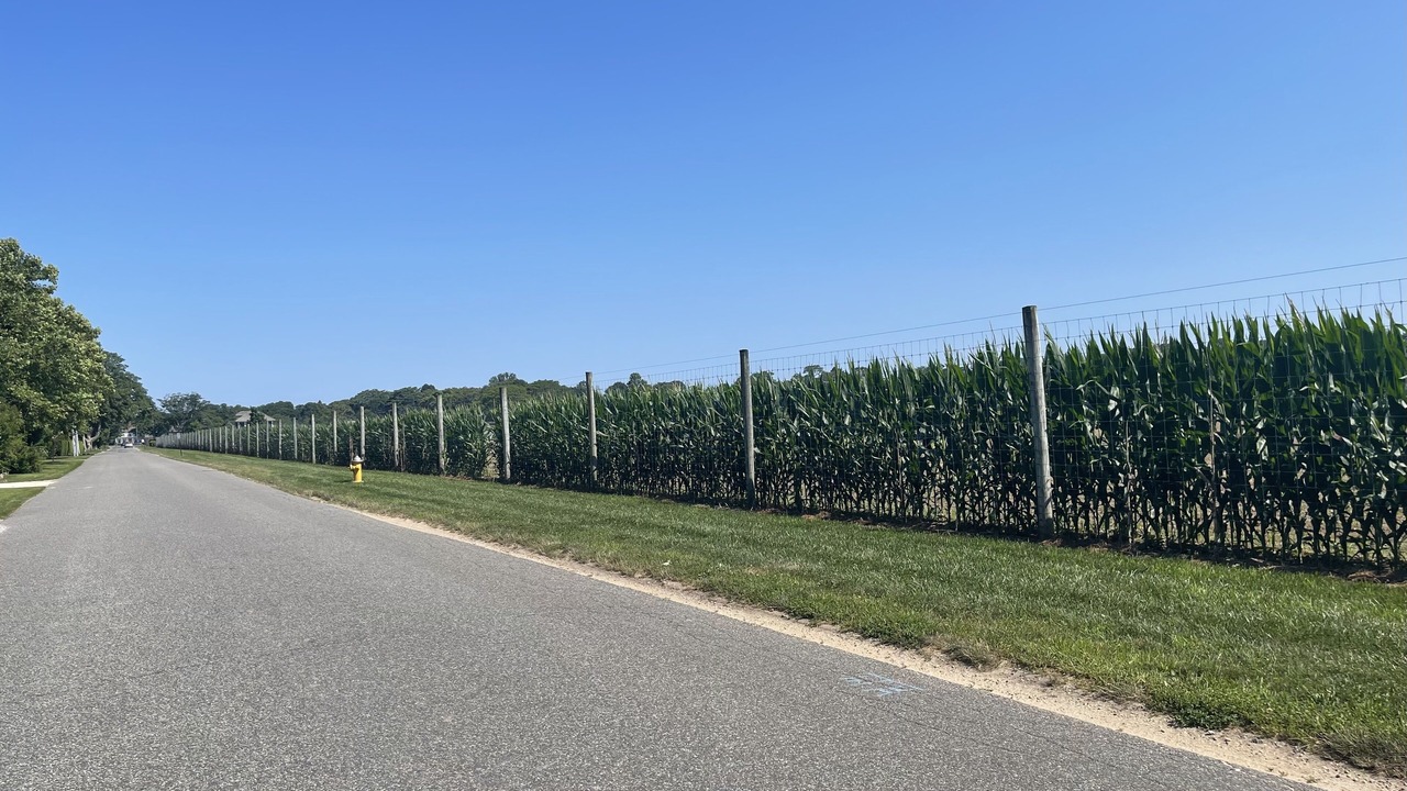 Photo of Outdoor in Wainscott