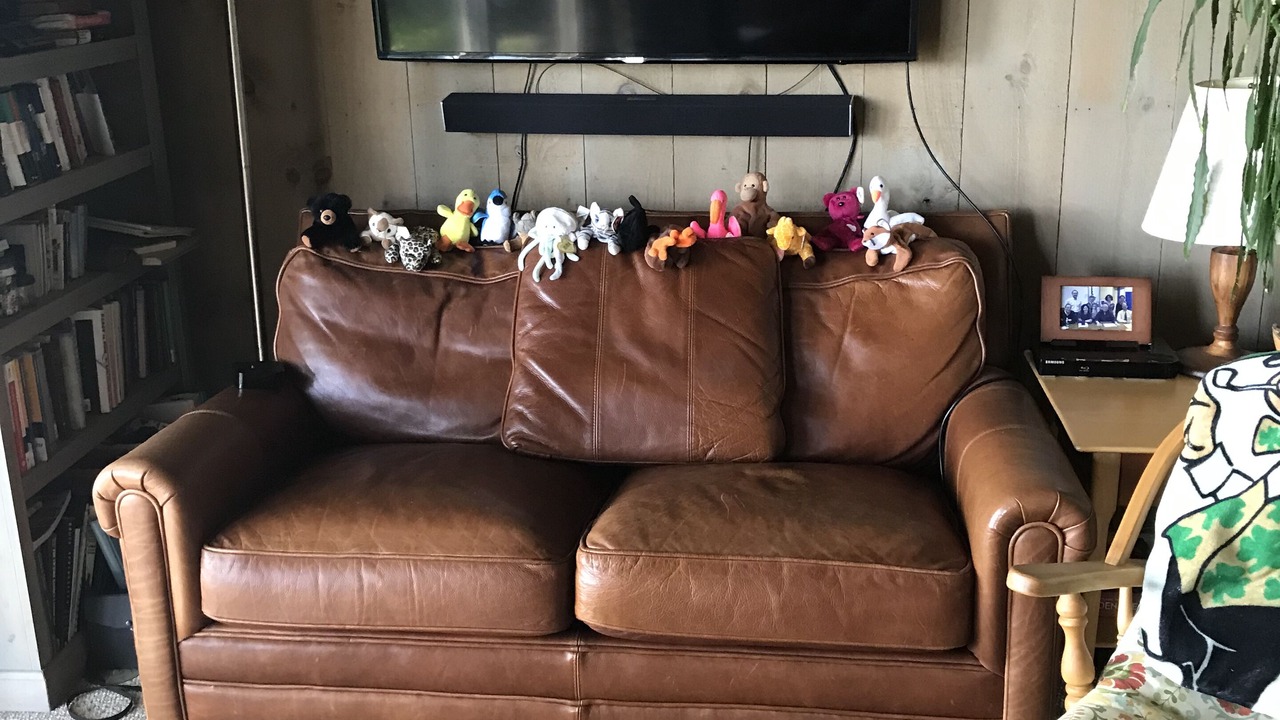 Photo of Livingroom in Meredith