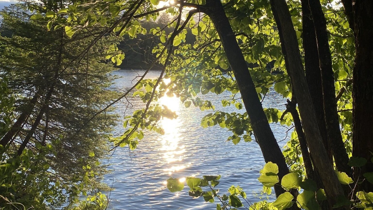 Photo of Outdoor in Dalton