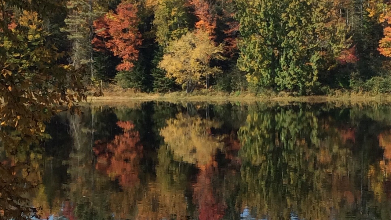 Photo of Others in Dalton