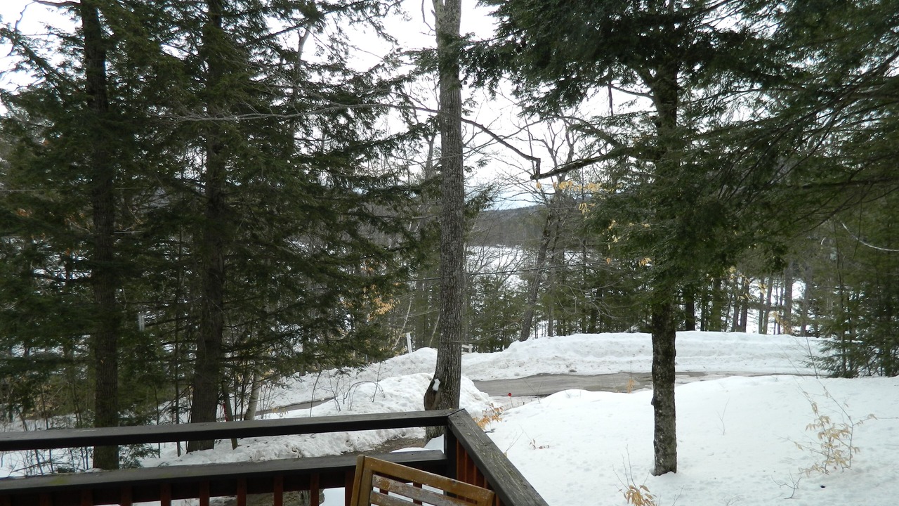 Photo of Outdoor in Center Ossipee