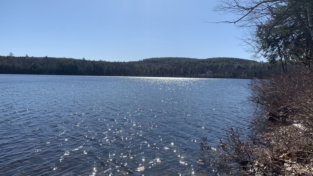 Photo of Others in Henniker
