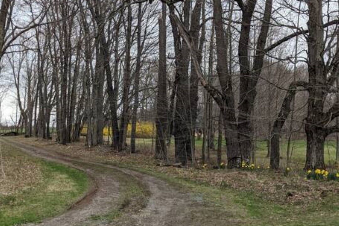 Photo of Outdoor in Walton