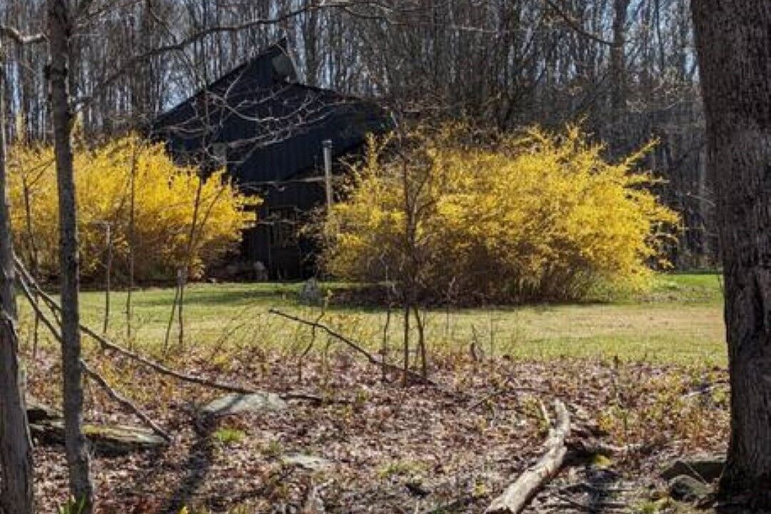 Photo of Outdoor in Walton