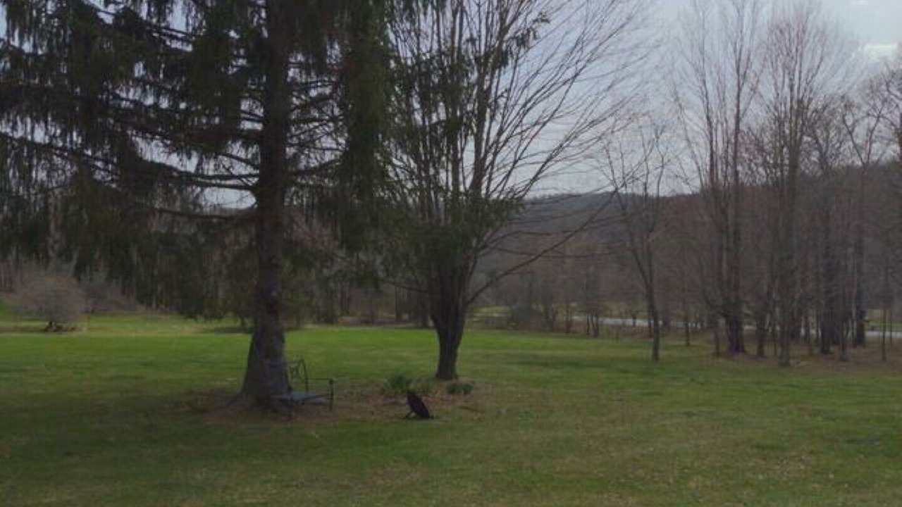 Photo of Outdoor in Walton