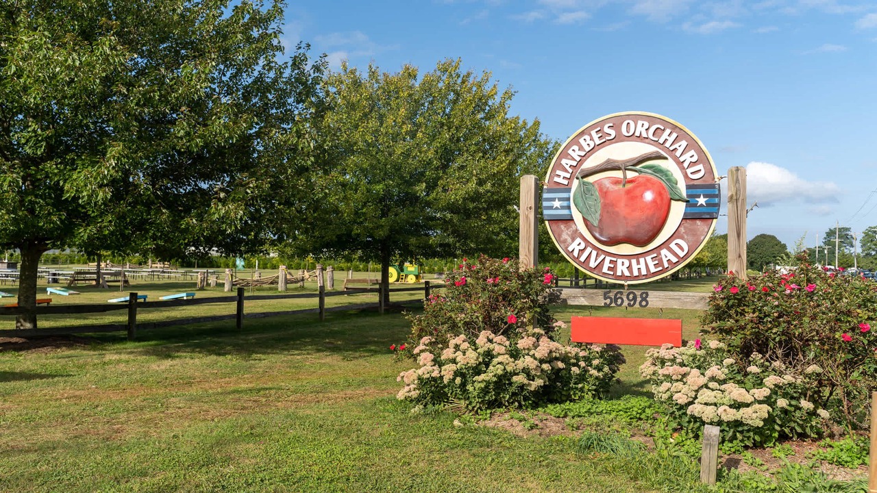 Photo of Outdoor in Southold
