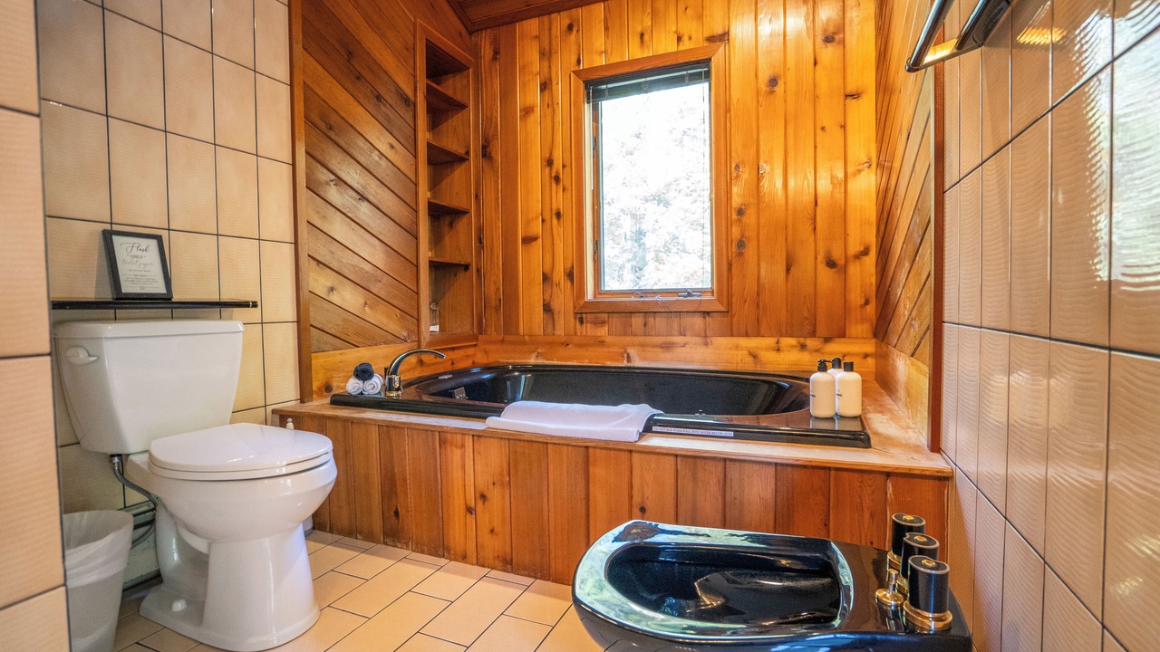 Photo of Bathroom in Phoenicia