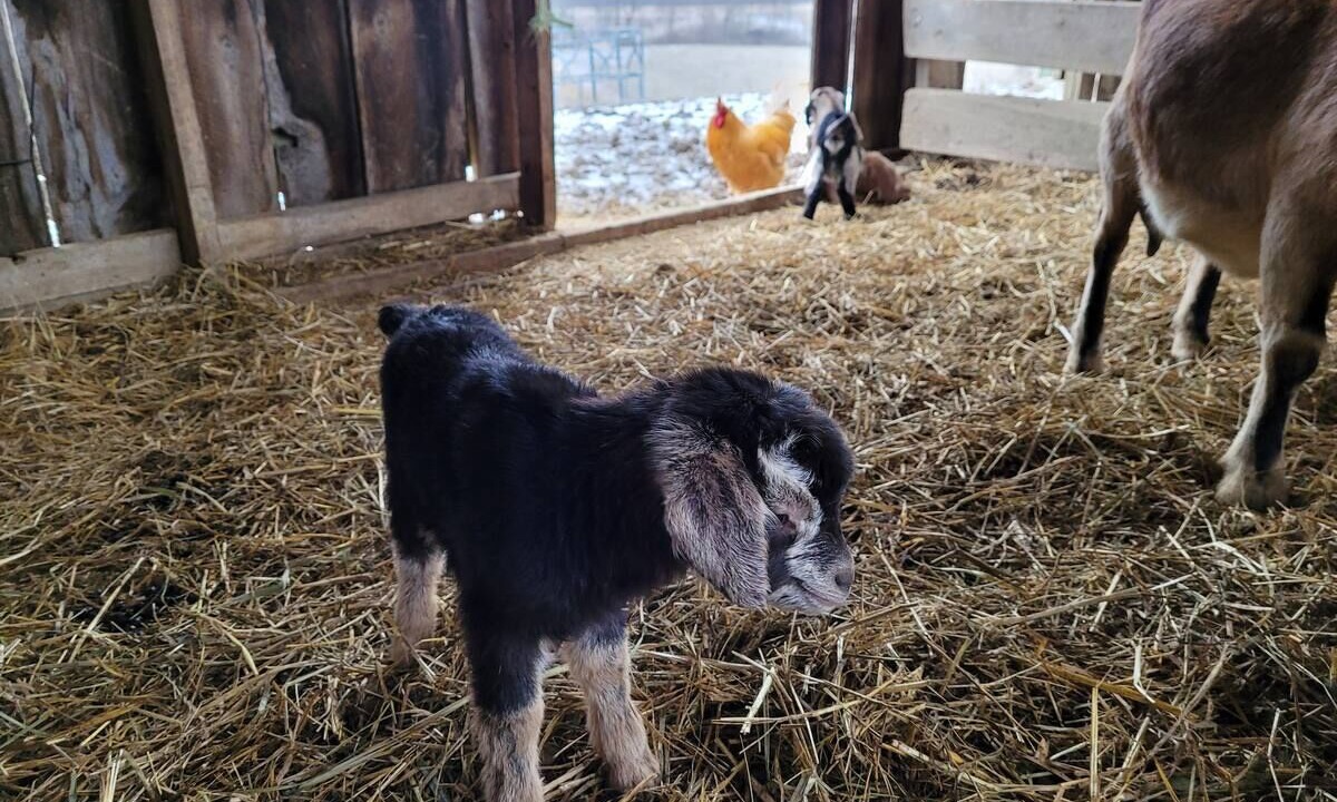 Photo of Others in Nelsonville