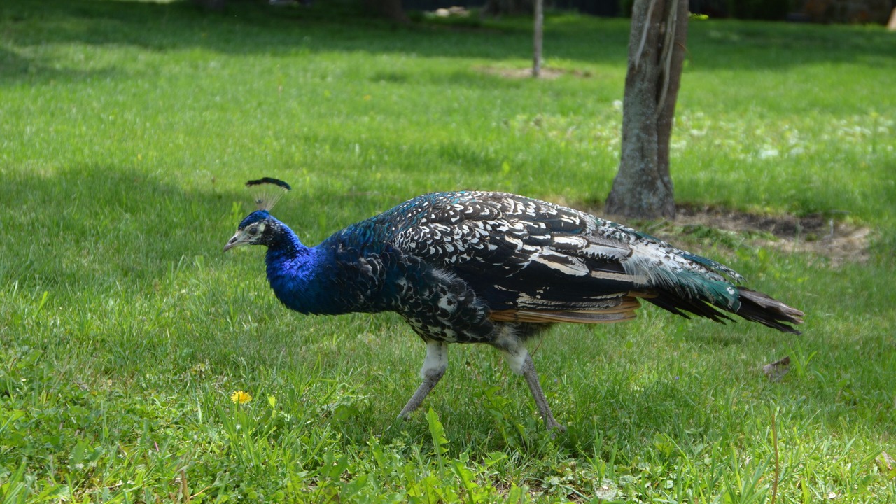Photo of Outdoor in Caroline
