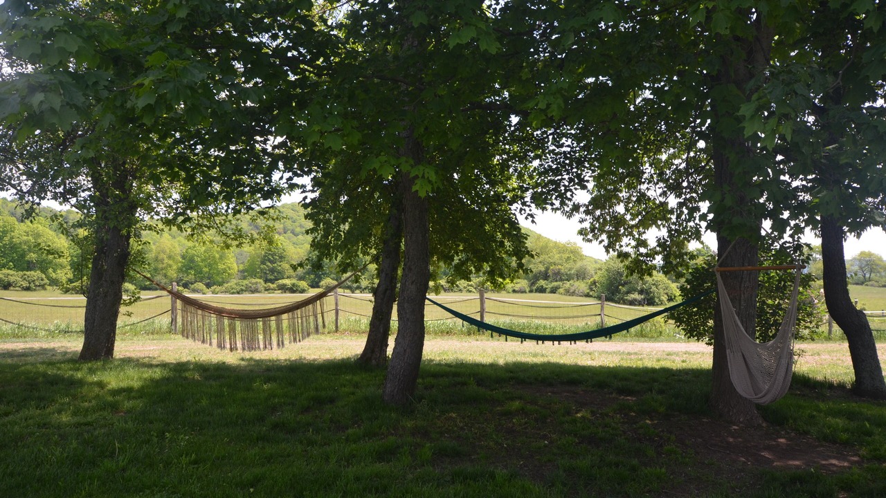 Photo of Outdoor in Caroline