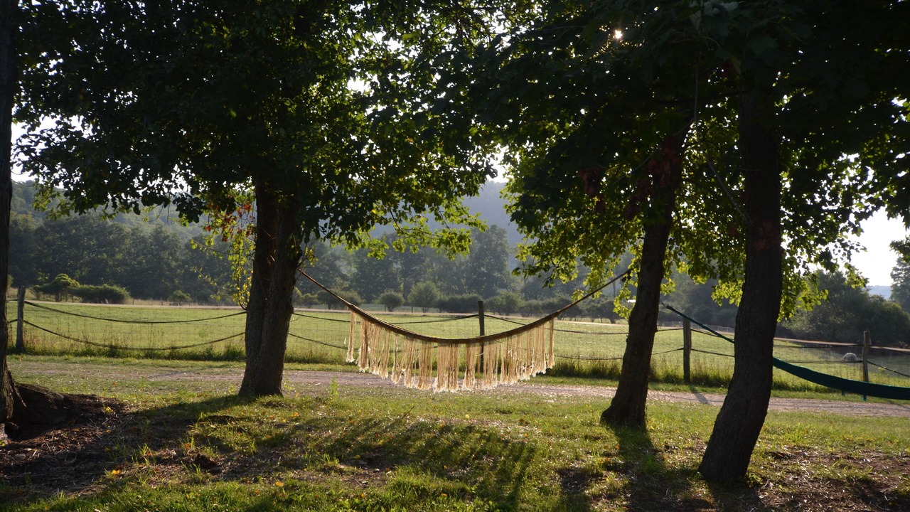 Photo of Outdoor in Caroline