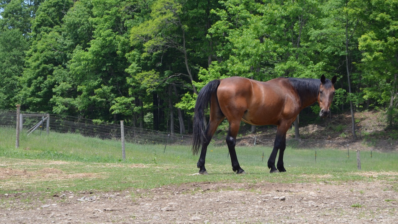 Photo of Outdoor in Caroline