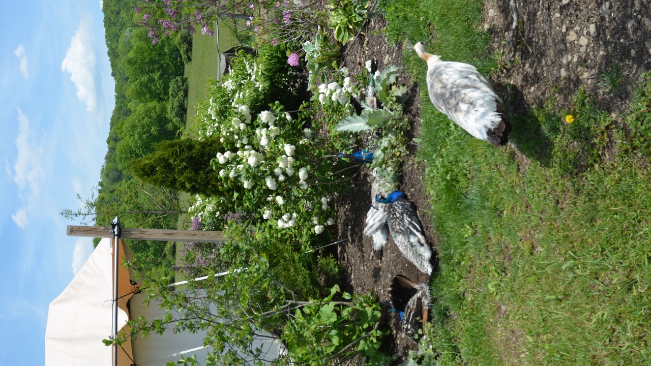 Photo of Outdoor in Caroline