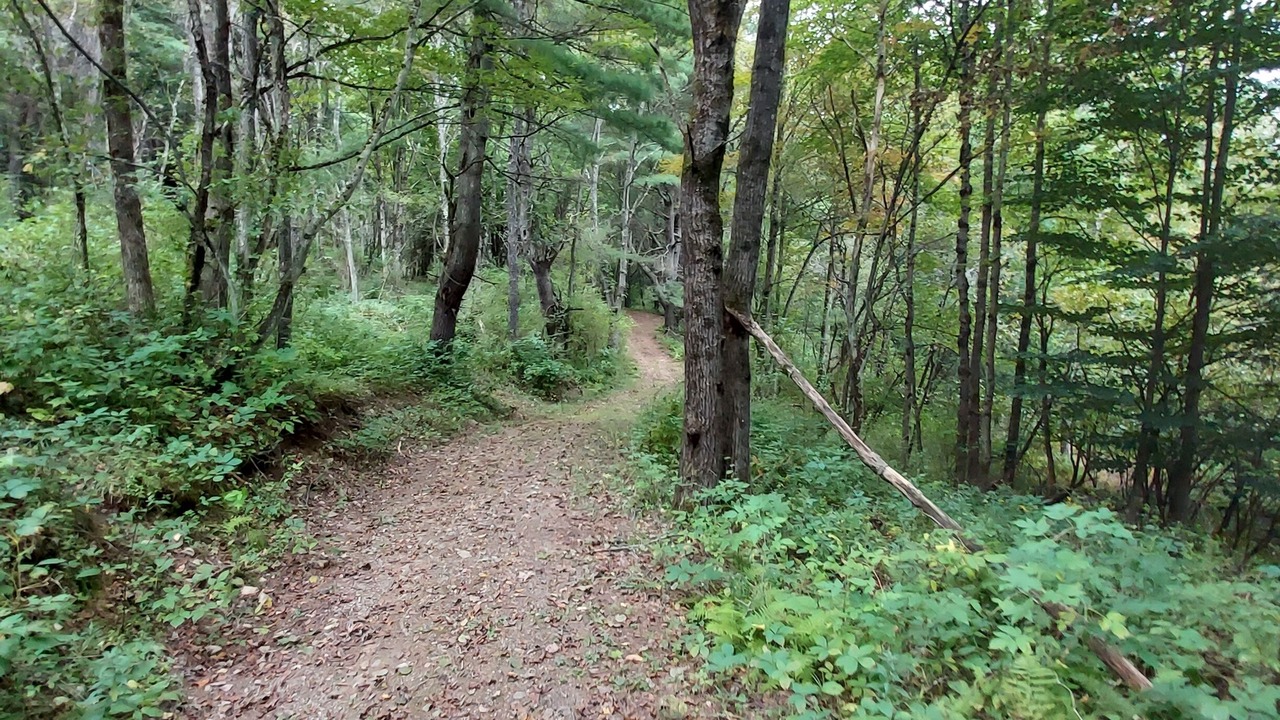 Photo of Outdoor in Cooperstown