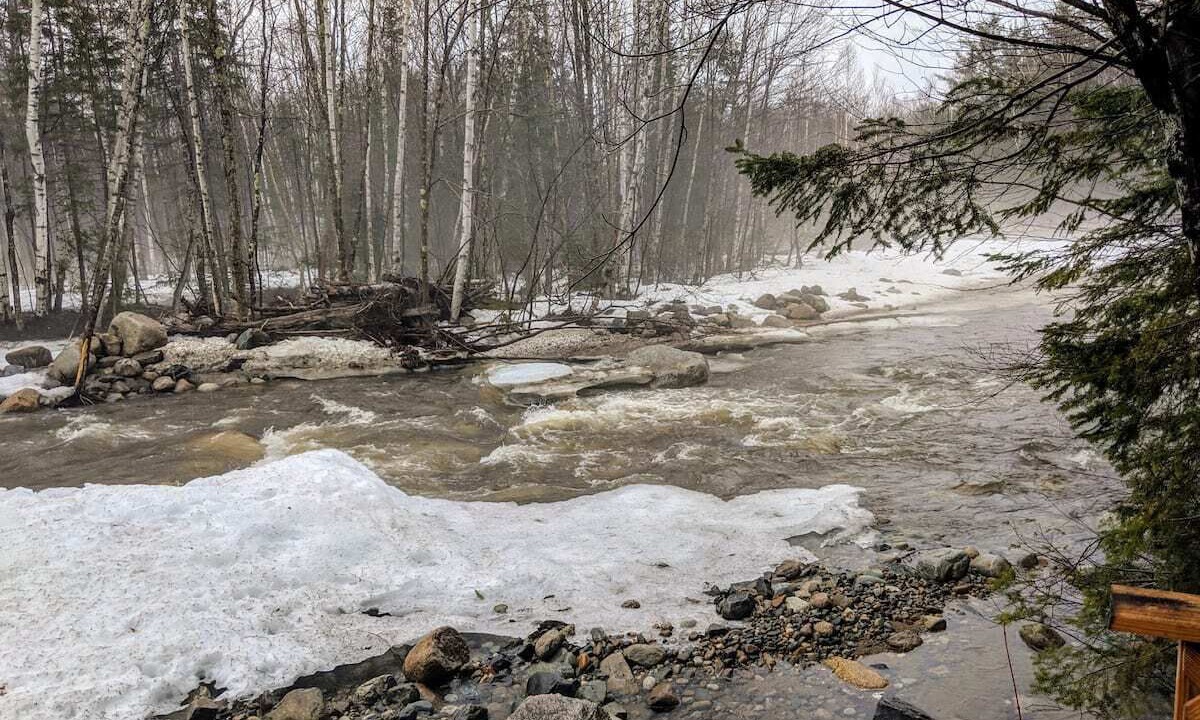Photo of Others in Twin Mountain
