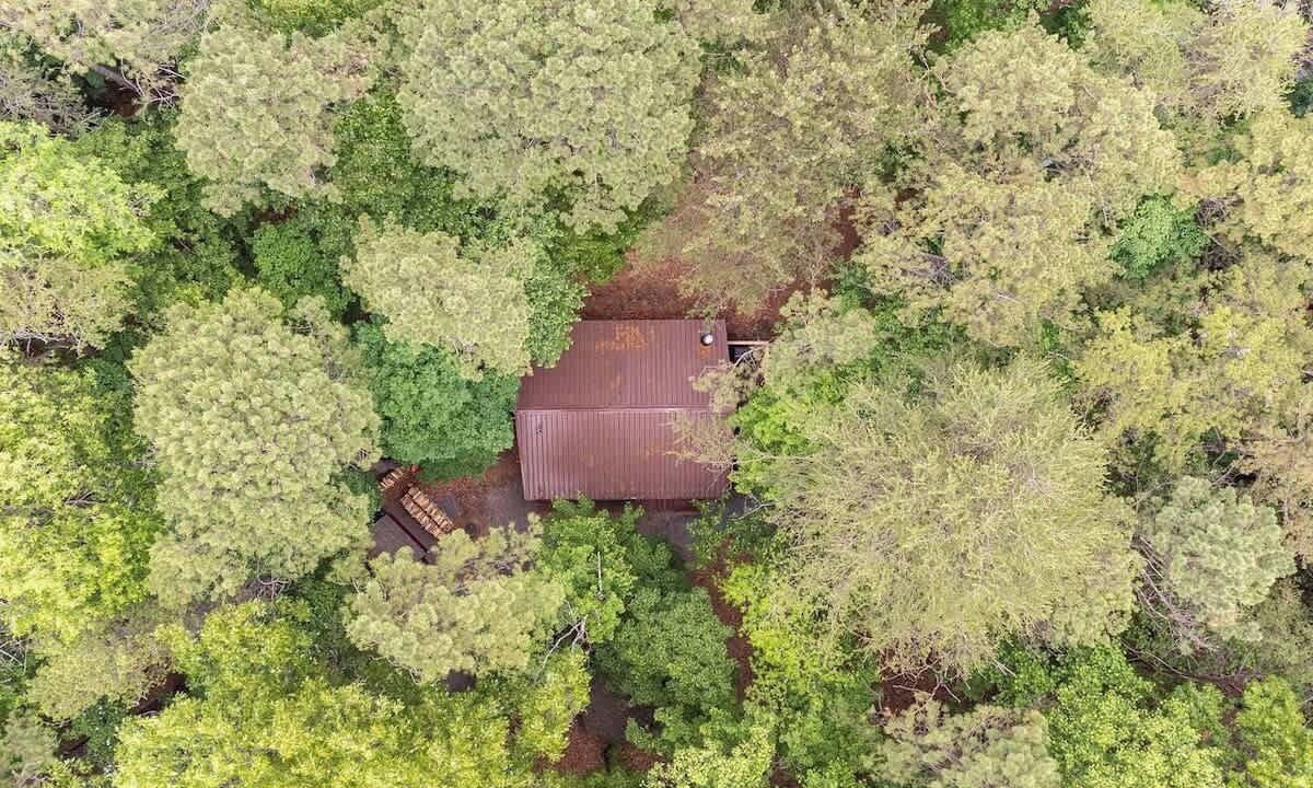 Photo of Others in The Woods