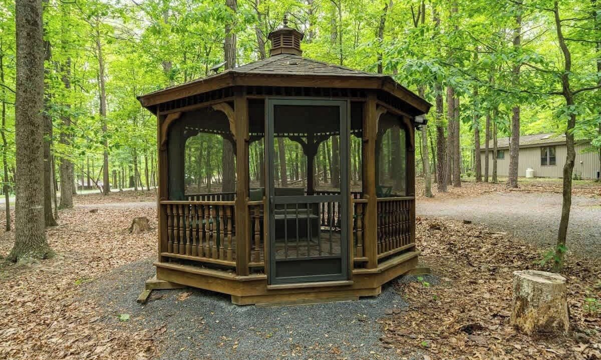 Photo of Outdoor in The Woods