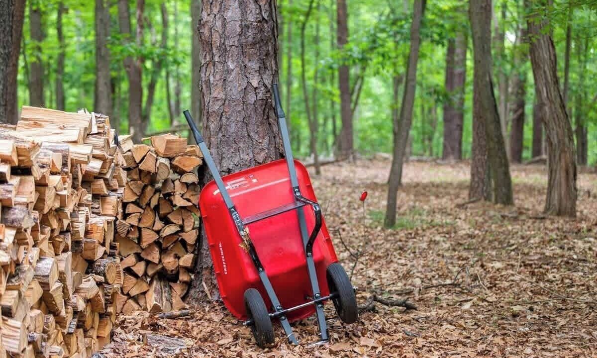 Photo of Others in The Woods