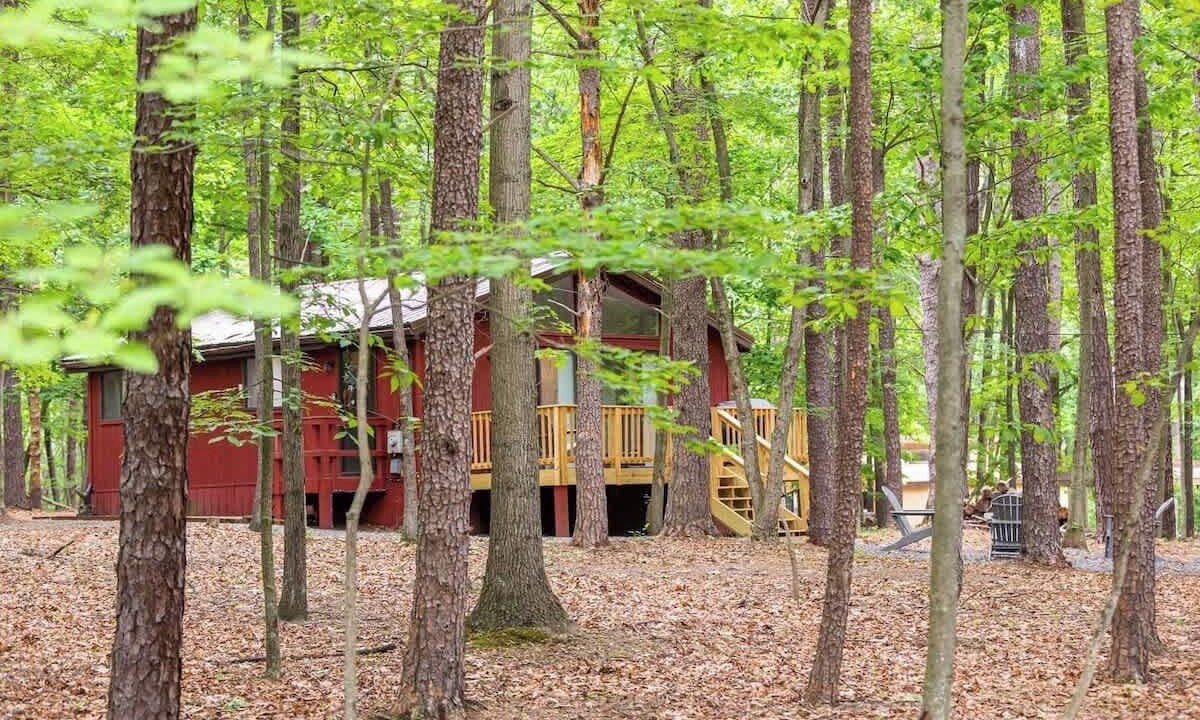 Photo of Others in The Woods