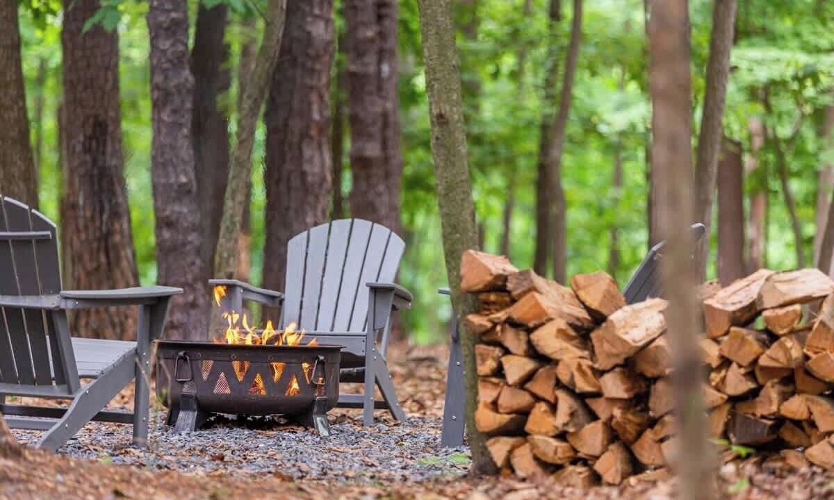 Photo of Others in The Woods