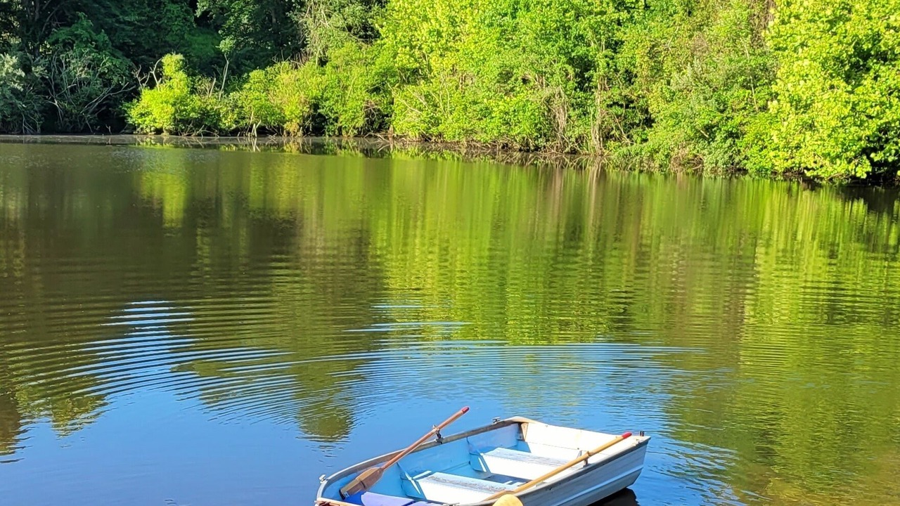 Photo of Outdoor in Charlottesville