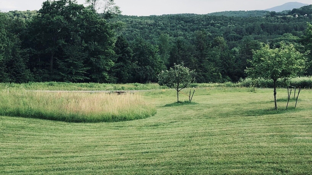 Photo of Outdoor in Hartland