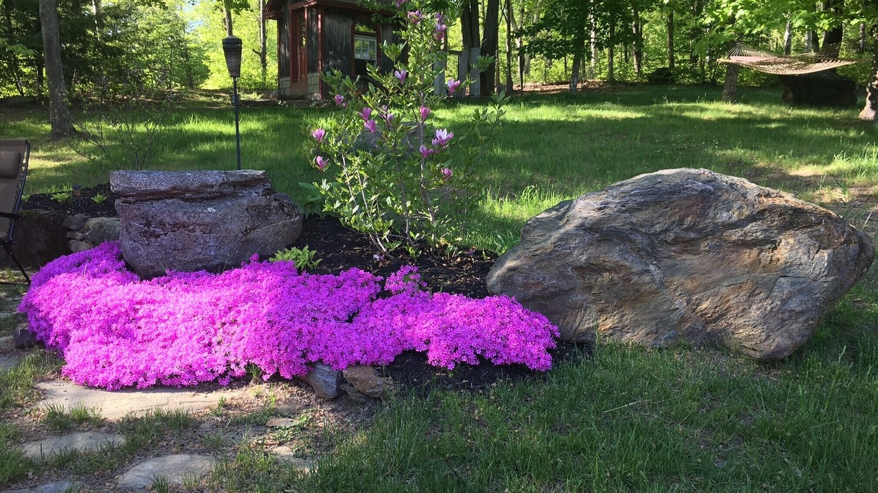 Photo of Outdoor in Hartland