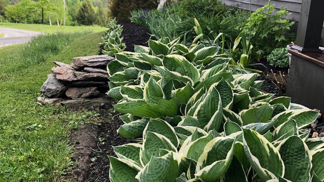 Photo of Outdoor in Hartland