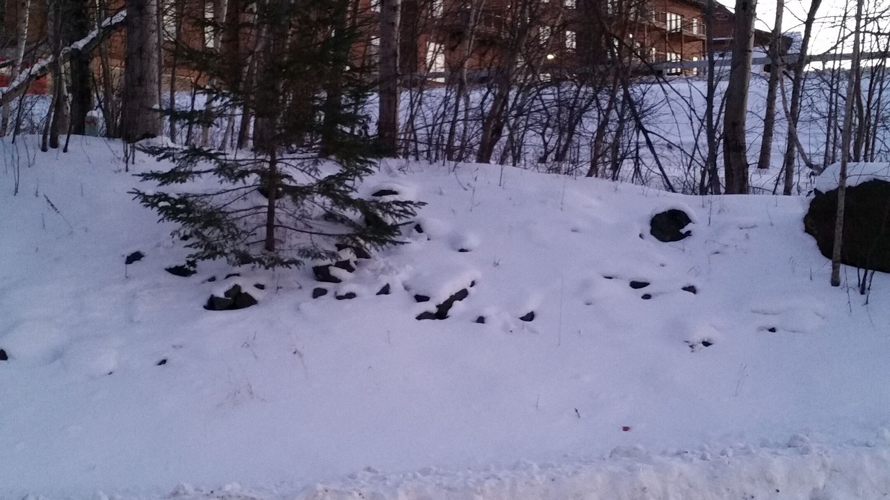 Photo of Outdoor in East Burke