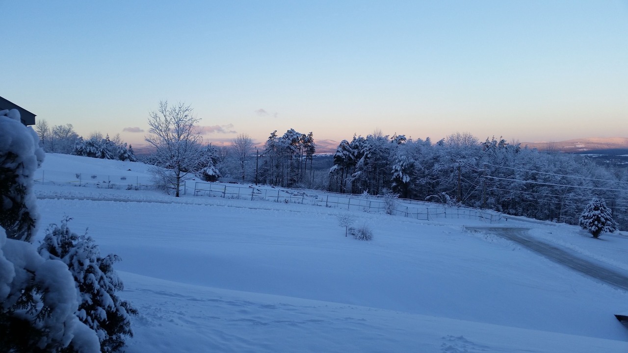 Photo of Others in East Burke