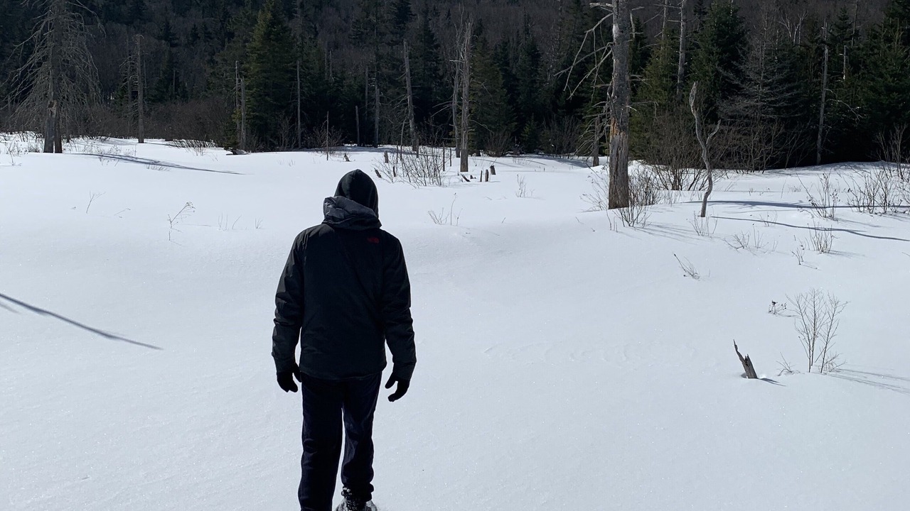 Photo of Others in Twin Mountain