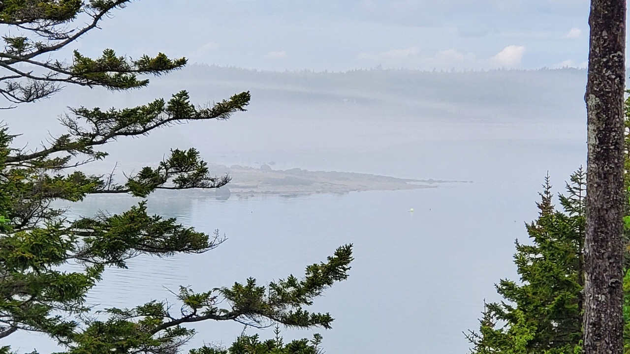 Photo of Others in Roque Bluffs