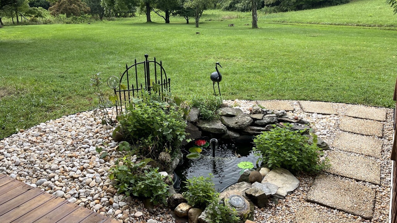 Photo of Outdoor in Stonega