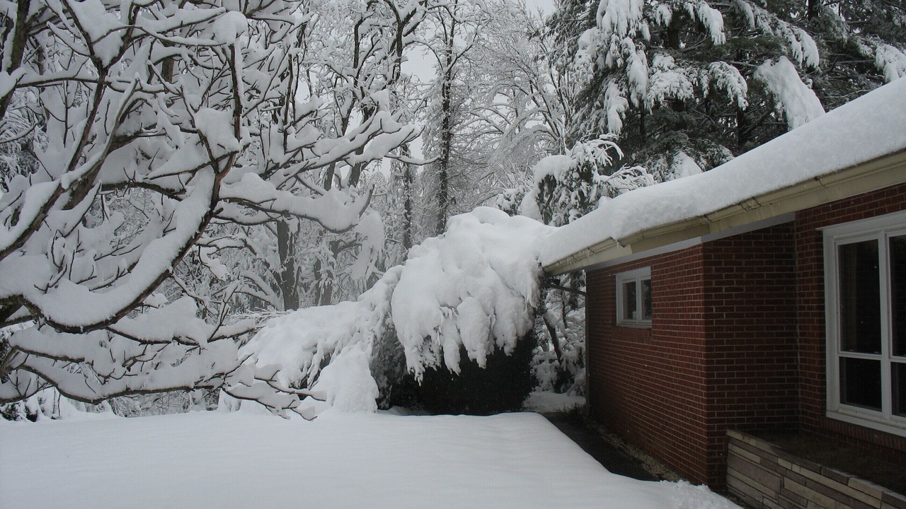 Photo of Outdoor in Stonega