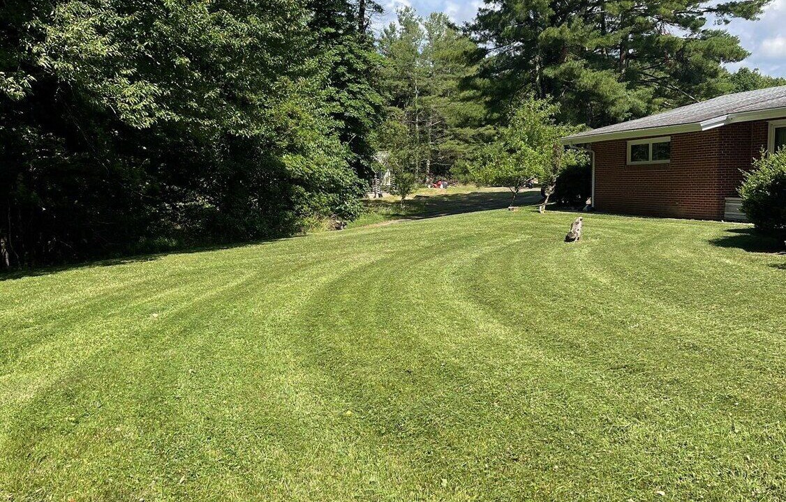 Photo of Outdoor in Stonega