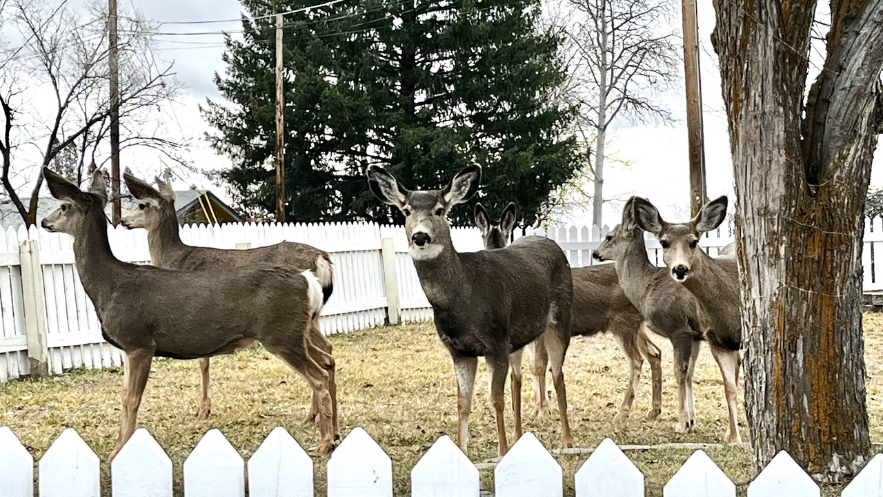 Photo of Others in Altamont