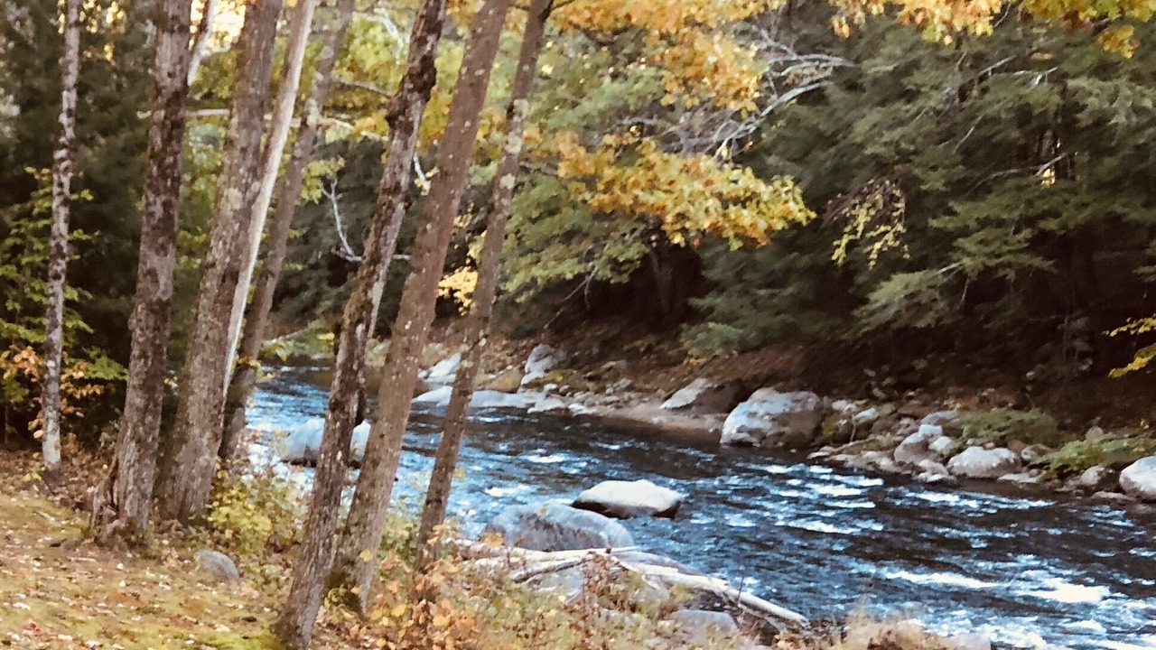 Photo of Outdoor in Amsden