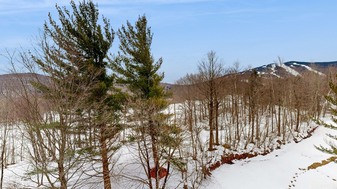 Photo of Others in Killington