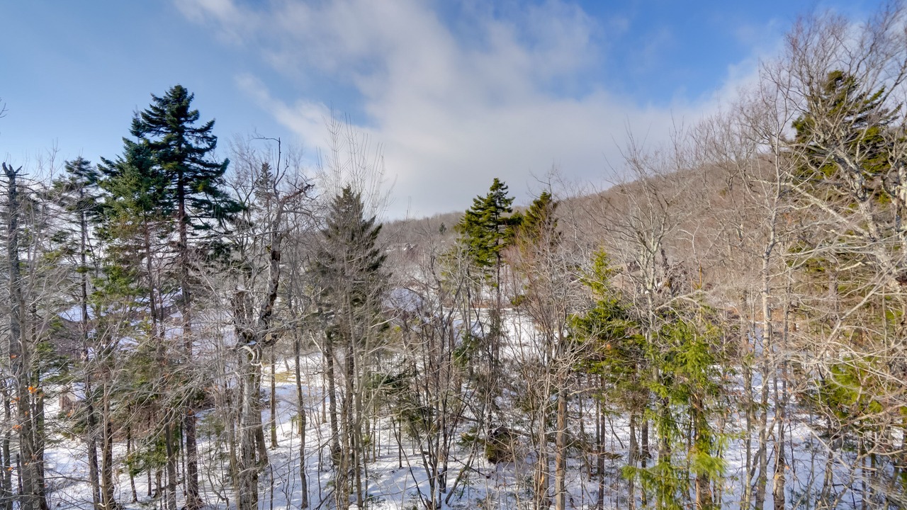 Photo of Outdoor in Bromley Mountain