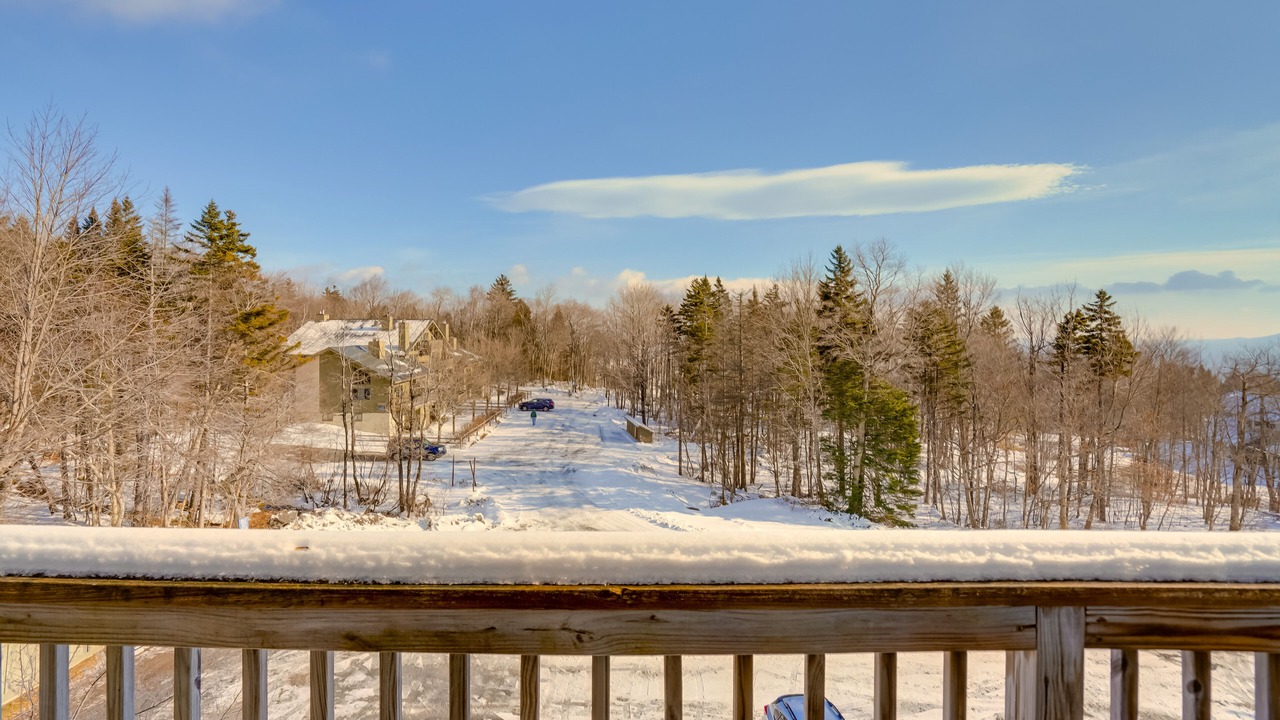 Photo of Patio Balcony in Bromley Mountain