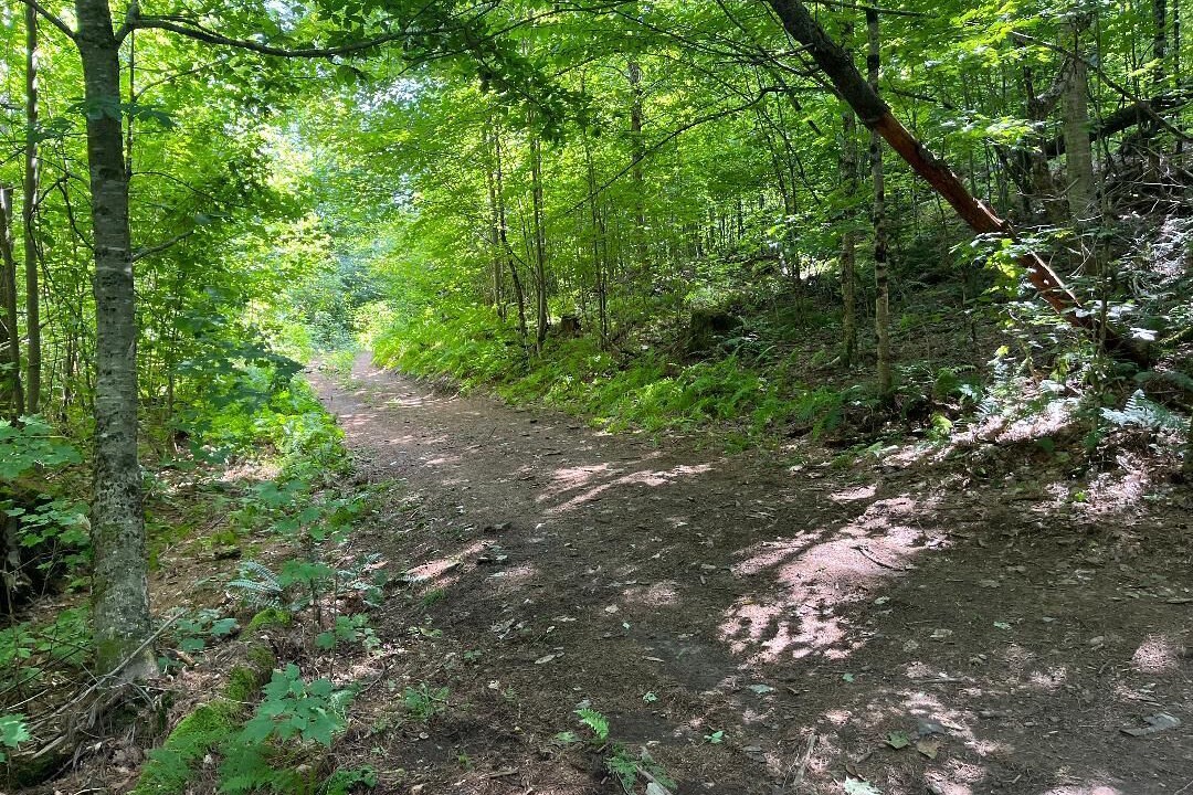 Photo of Others in St. Johnsbury